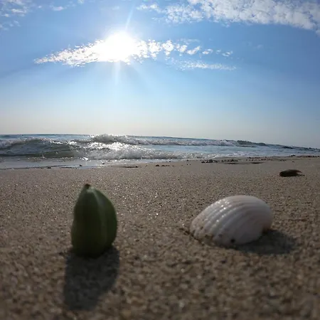 Del Sole Διαμέρισμα Torre San Giovanni Ugento